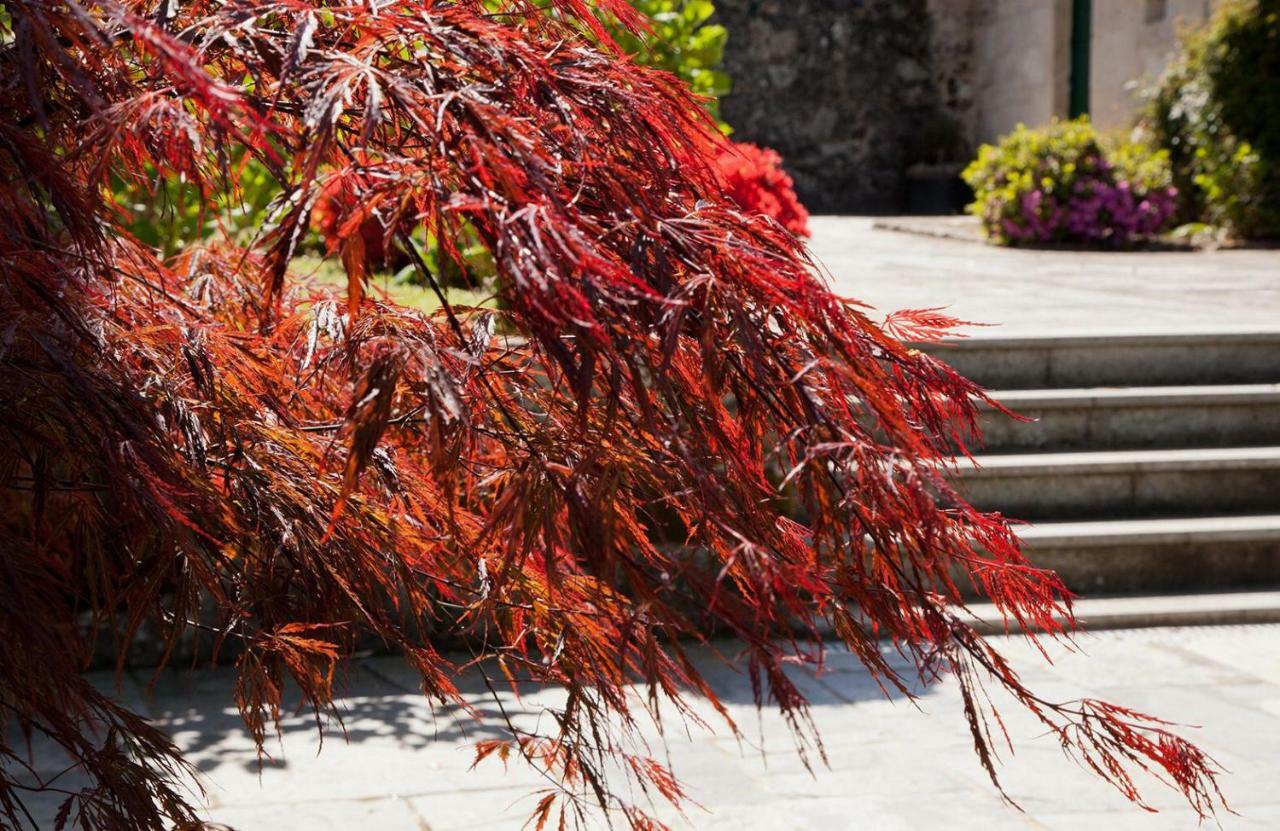 Jardines Pazo A Fabrica Vendégház Celanova Kültér fotó